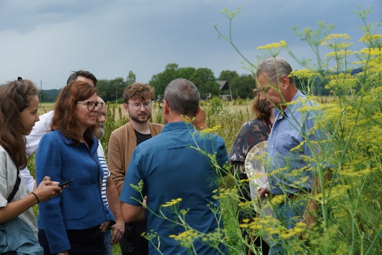 Biodiversitaet im Heil-und Gewürzpflanzenanbau.jpg